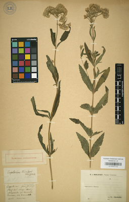 LE 01017113