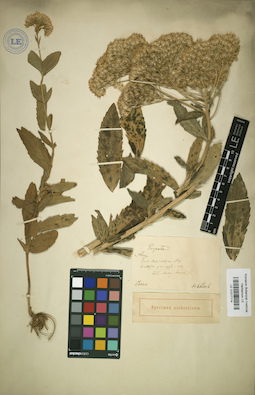 LE 01017114
