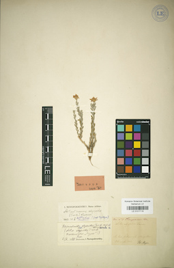 LE 01017118