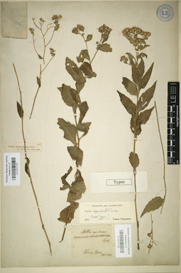 LE 01017138