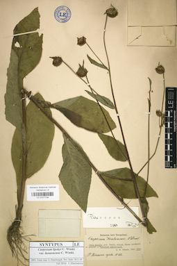 LE 01017139