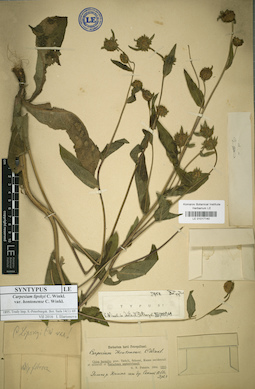 LE 01017140