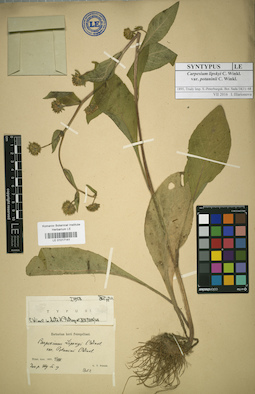LE 01017141