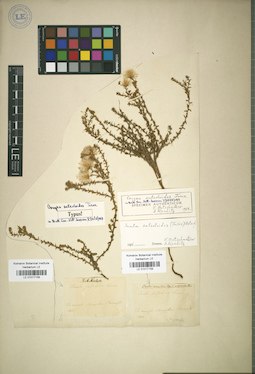 LE 01017158