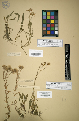 LE 01017163