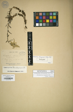 LE 01017166