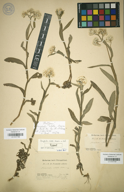 LE 01017168