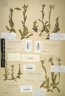 LE 01017173