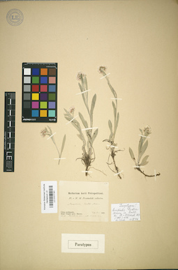 LE 01017181