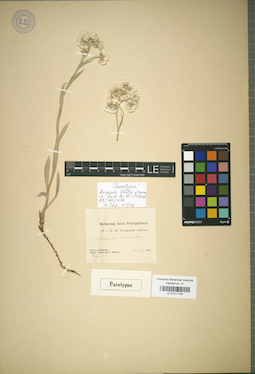 LE 01017183
