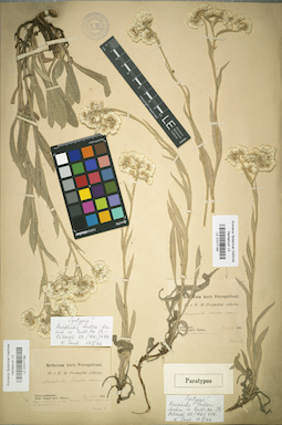 LE 01017185