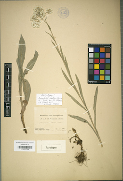 LE 01017186