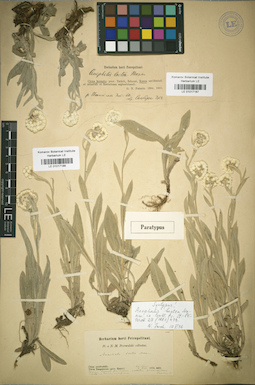 LE 01017188