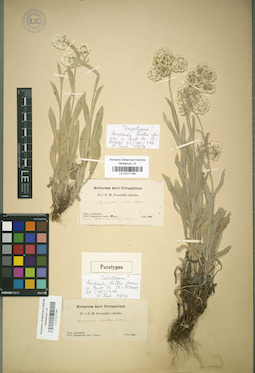 LE 01017191