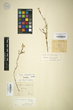 LE 01017192