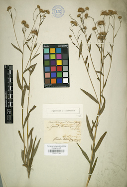 LE 01017195