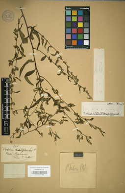 LE 01017198