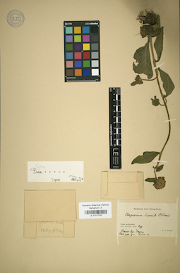 LE 01017200
