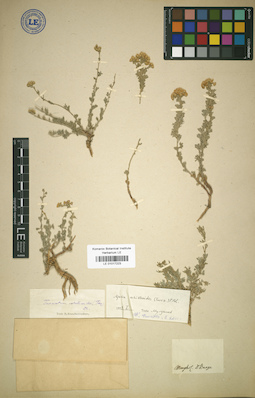 LE 01017223