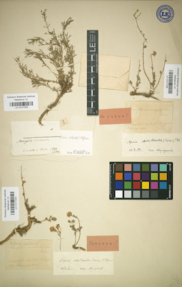 LE 01017225