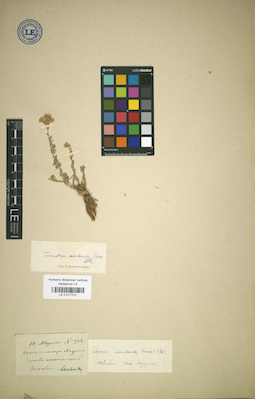 LE 01017227