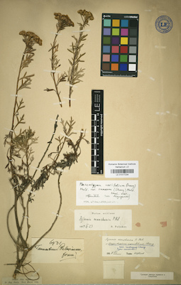 LE 01017234