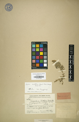 LE 01017235