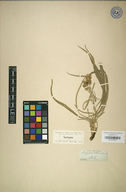 LE 01017237