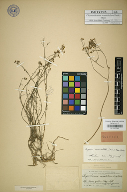 LE 01017252