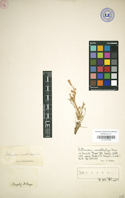 LE 01017254