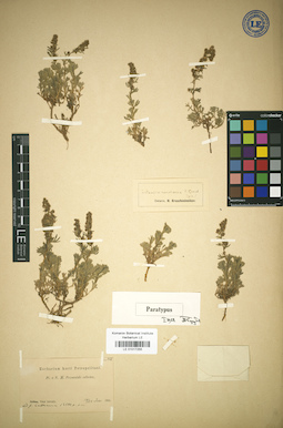 LE 01017255