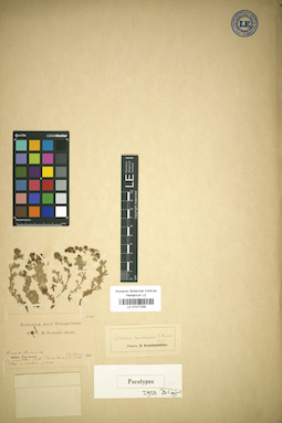 LE 01017256