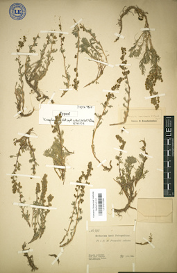 LE 01017259