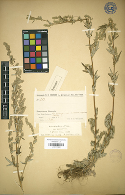 LE 01017262