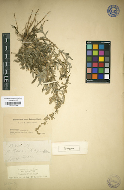 LE 01017264