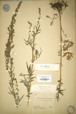 LE 01017268