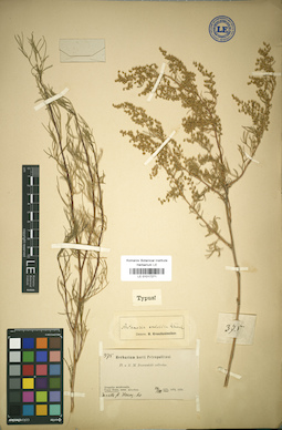 LE 01017271