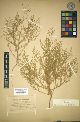 LE 01017275