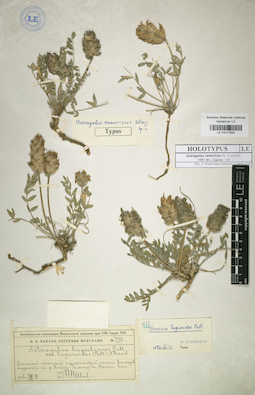 LE 01017820