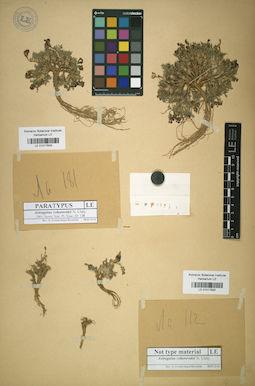 LE 01017829