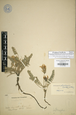 LE 01017832