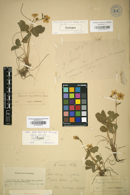 LE 01017837
