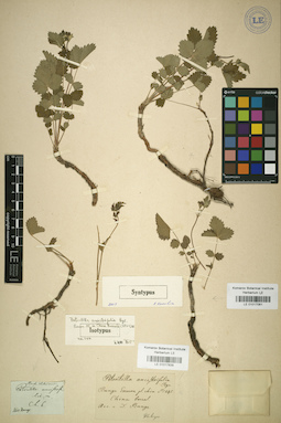 LE 01017839