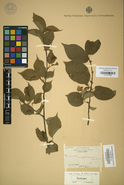 LE 01017848