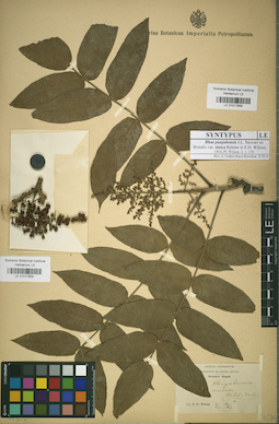 LE 01017858