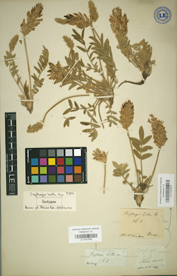 LE 01017860