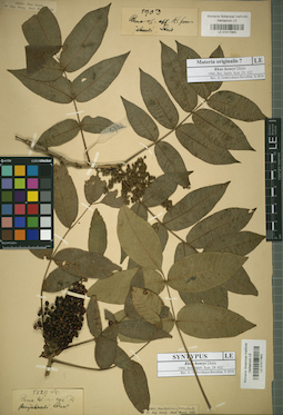 LE 01017862