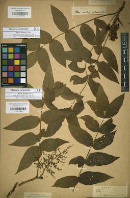 LE 01017864