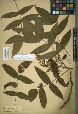 LE 01017866