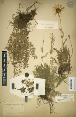 LE 01018001
